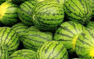 每日大赛 今日吃瓜热门大瓜必看大瓜网红,揭秘今日热门大瓜，网红吃瓜指南