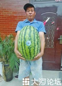 51热门大瓜今日大瓜 吃瓜是什么意思,今日大瓜，吃瓜群众揭秘娱乐圈风云