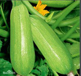 51热门大瓜今日大瓜 吃瓜是什么意思,今日大瓜，吃瓜群众揭秘娱乐圈风云