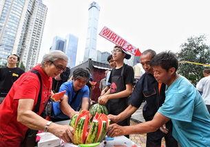 北京朝阳吃瓜群众网 黑料视频免费网站入口,北京朝阳吃瓜群众网黑料视频免费入口大揭秘